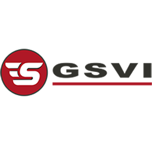 GSVI